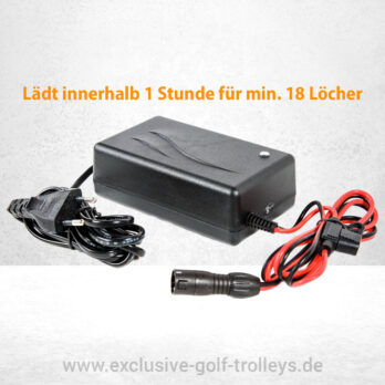 JuCad Schnellladegerät, in 1h für 18 Loch